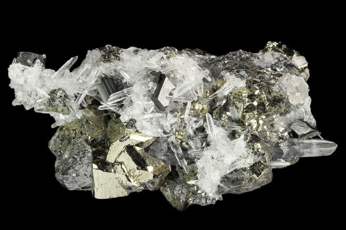 Pyrite, Huebnerite and Quartz Association - Peru #124410